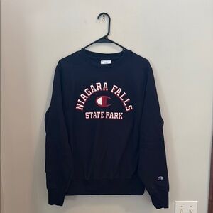 Champion Black Niagara Falls State Park Sweater
